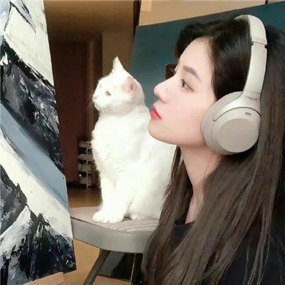 辛十四娘